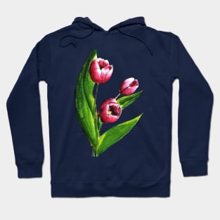 Pink Tulip Flowers Watercolor Painting Hoodie